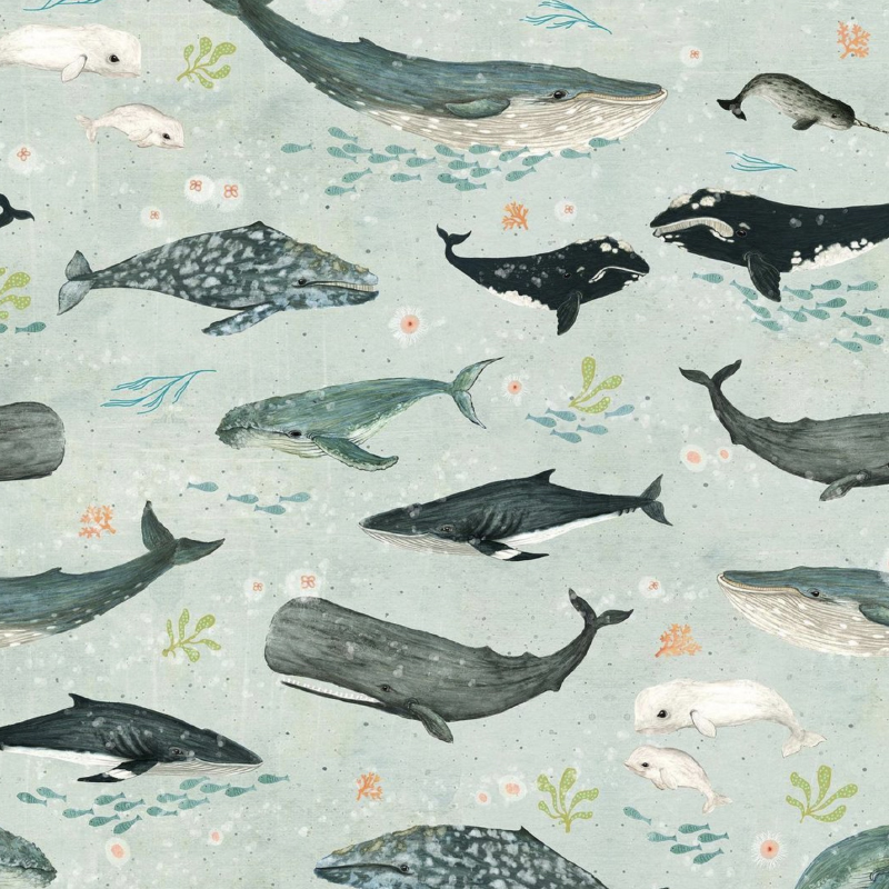 Whale Whispers Pattern by Katherine Quinn