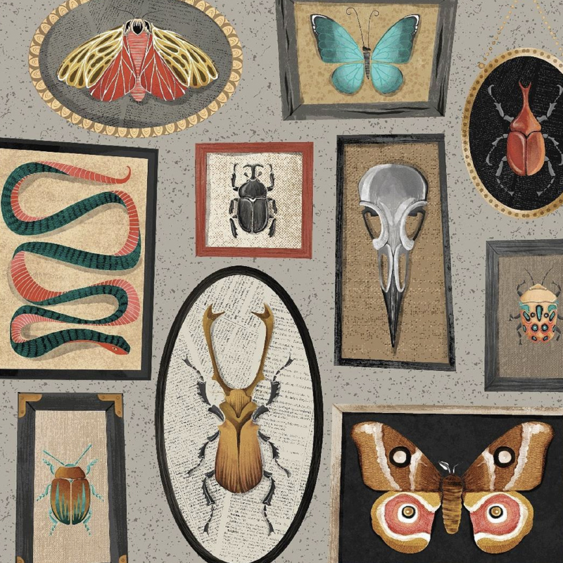 Framed Specimens Pattern by Michael Zindell