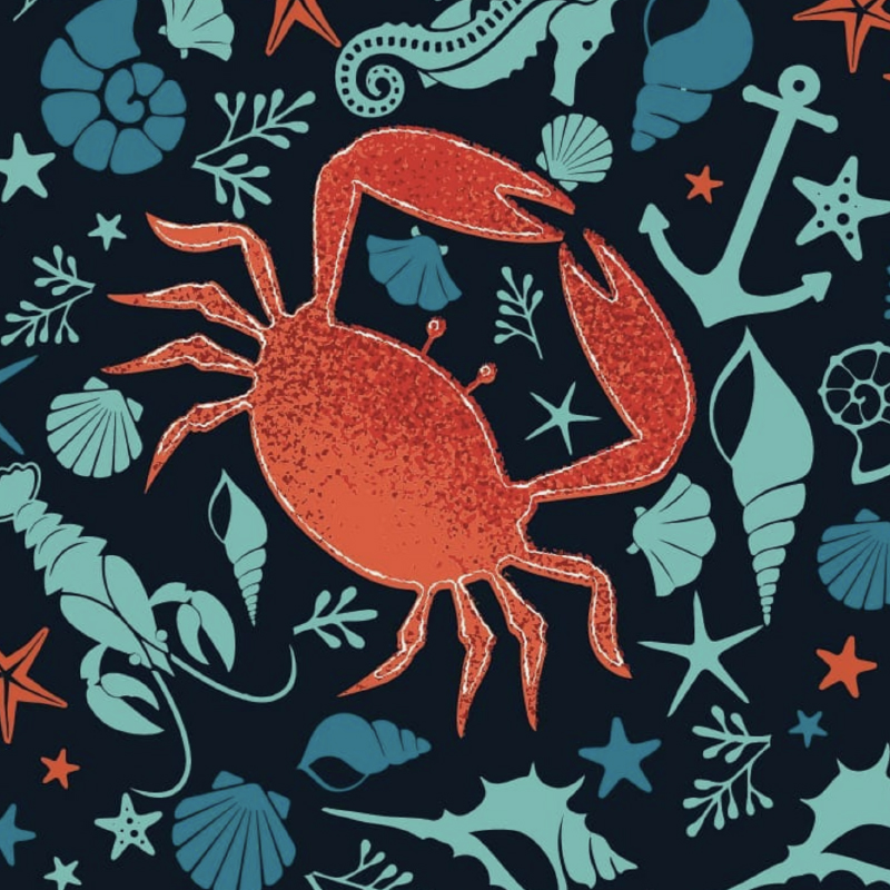 Nautical Pattern by Michael Zindell