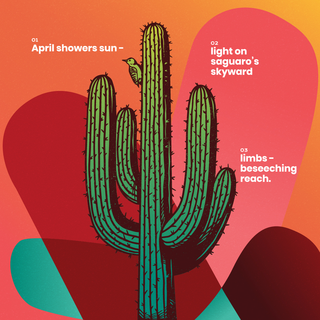 Nature's Narrative April Saguaro