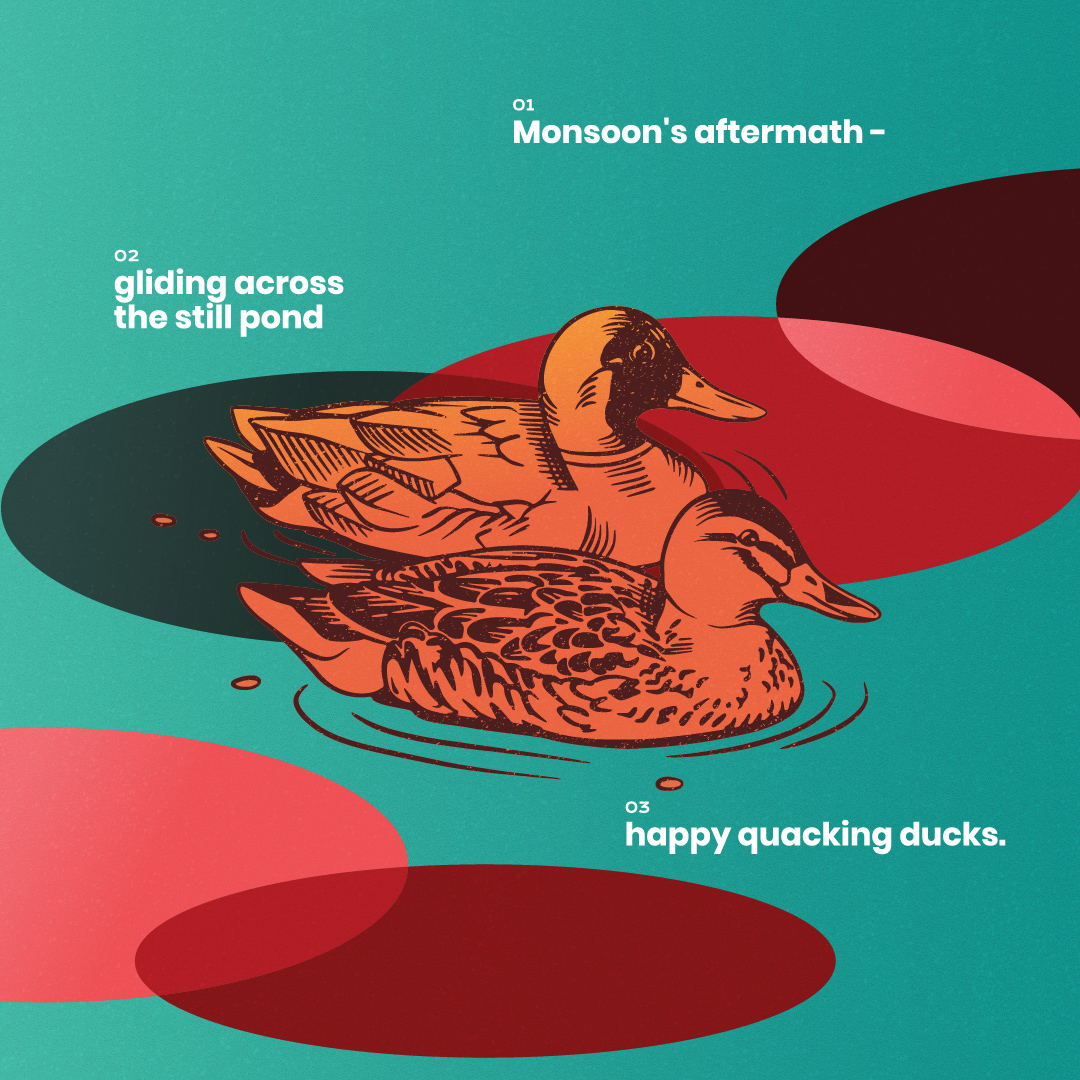 Nature's Narrative August Ducks