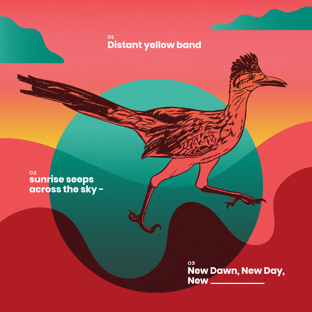 Nature's Narrative January Roadrunner
