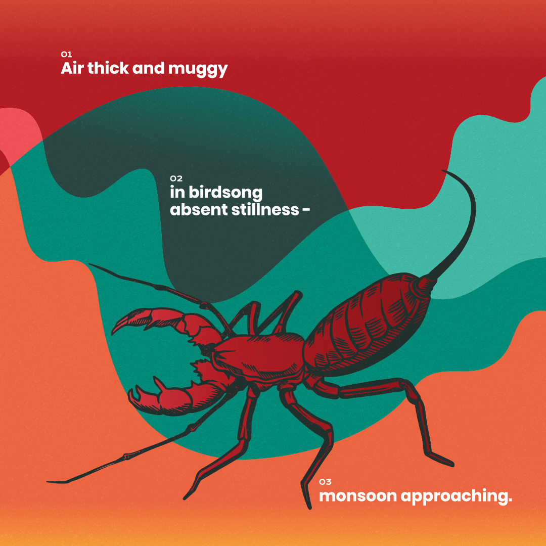 Nature's Narrative June Scorpion