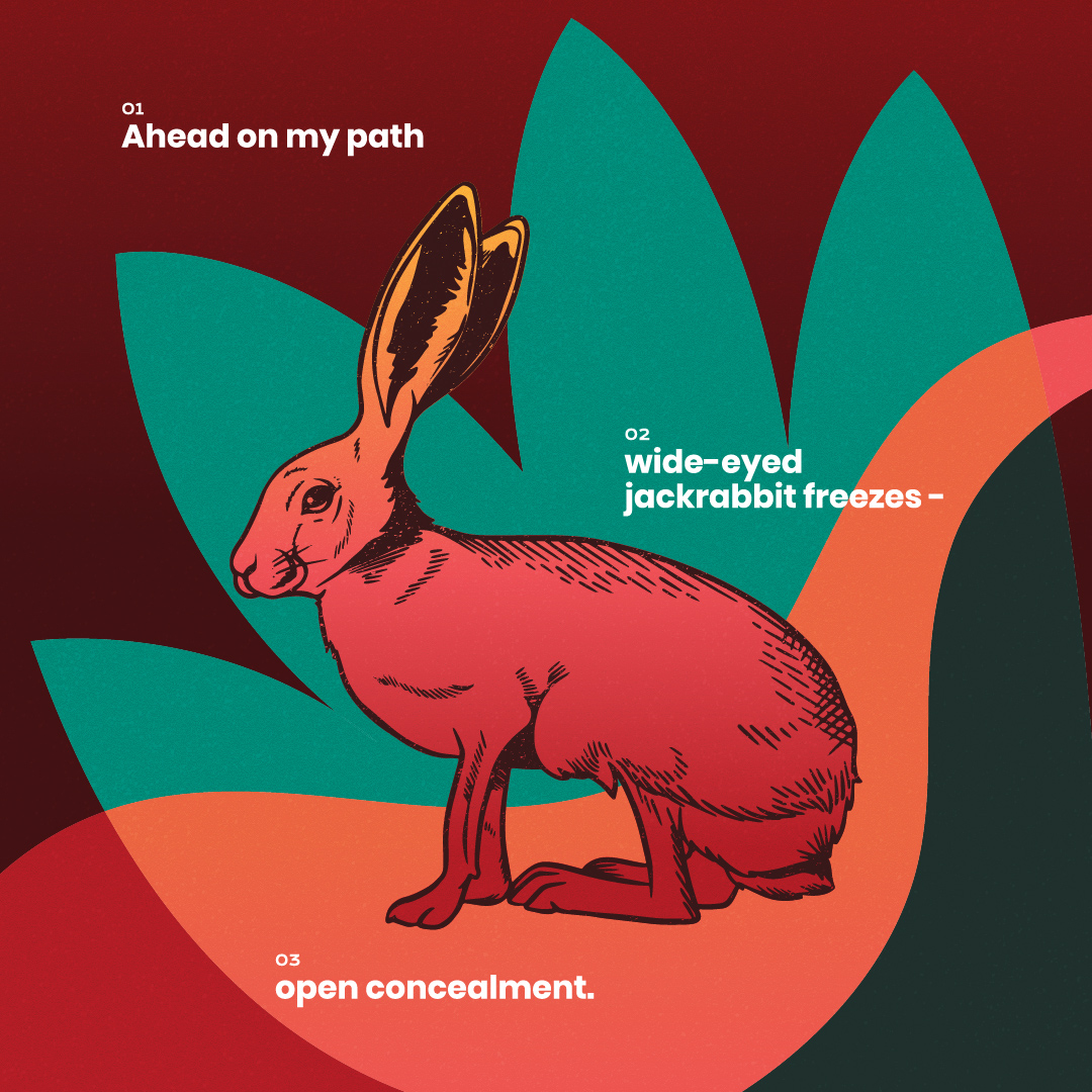 Nature's Narrative May Rabbit